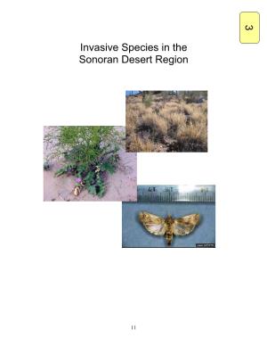3 Invasive Species in the Sonoran Desert Region