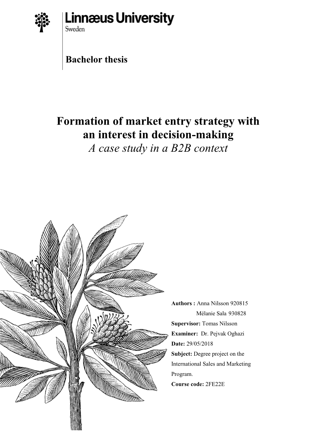 formation-of-market-entry-strategy-with-an-interest-in-decision-making