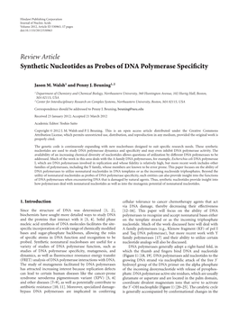 Synthetic Nucleotides As Probes of DNA Polymerase Specificity