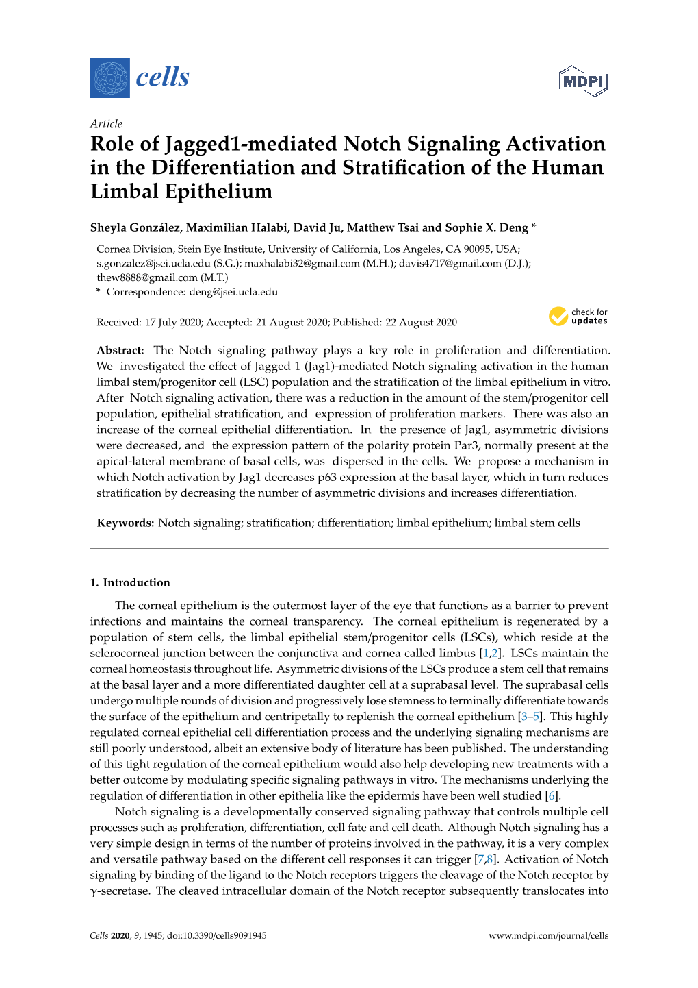 Role of Jagged1-Mediated Notch Signaling Activation in the Differentiation and Stratification of the Human Limbal Epithelium