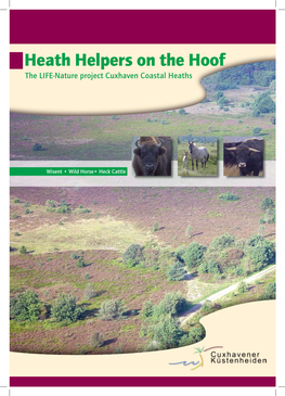 Heath Helpers on the Hoof the LIFE-Nature Project Cuxhaven Coastal Heaths