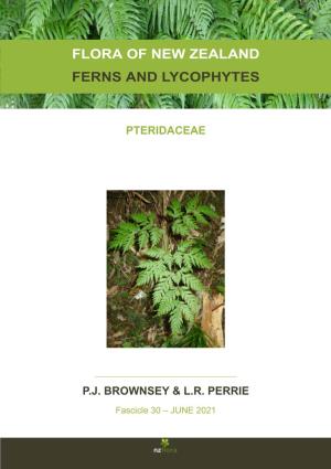 Flora of New Zealand Ferns and Lycophytes Pteridaceae Pj Brownsey