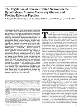 The Regulation of Glucose-Excited Neurons in the Hypothalamic Arcuate Nucleus by Glucose and Feeding-Relevant Peptides R