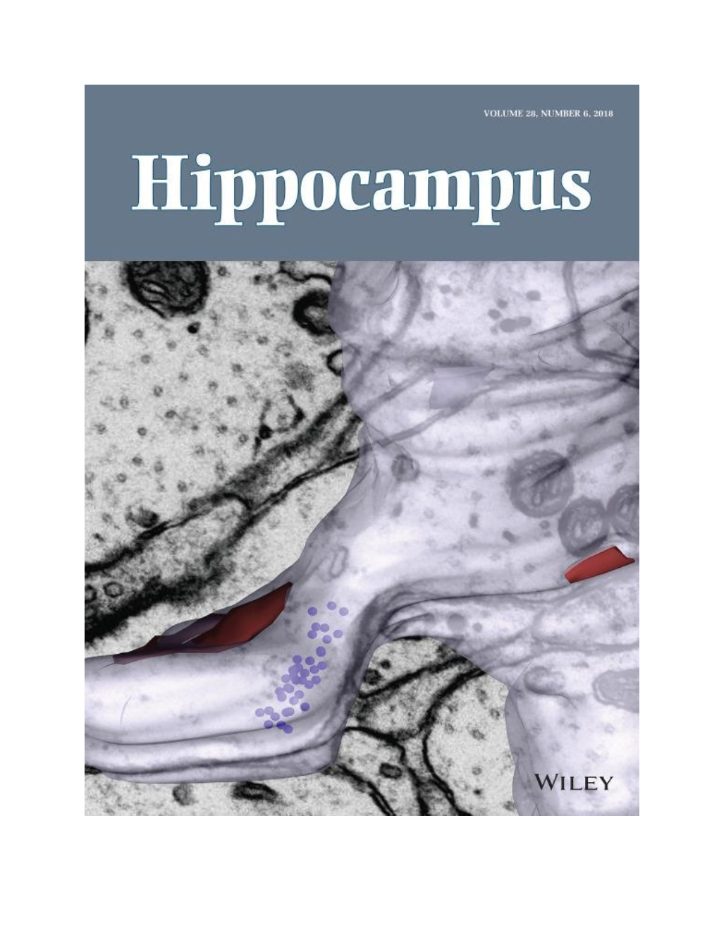 2018 Hippocampus Cover