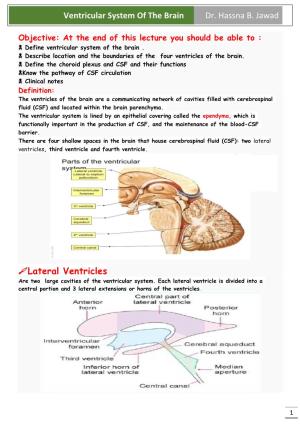 Ventricular System of the Brain Dr