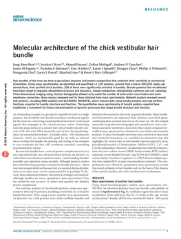 Molecular Architecture of the Chick Vestibular Hair Bundle