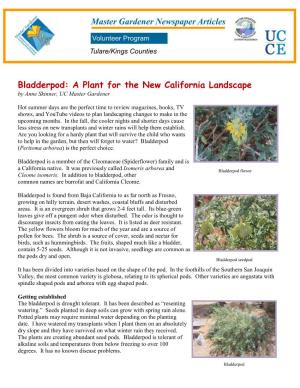 Bladderpod: a Plant for the New California Landscape by Anne Skinner, UC Master Gardener