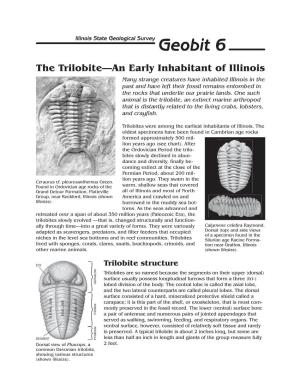 Geobit 6: the Trilobite