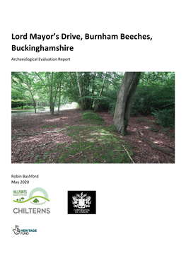 Burnham Beeches, Buckinghamshire