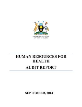 Human Resources for Health Audit Report