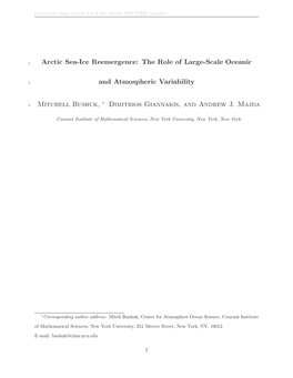 Arctic Sea-Ice Reemergence: the Role of Large-Scale Oceanic And