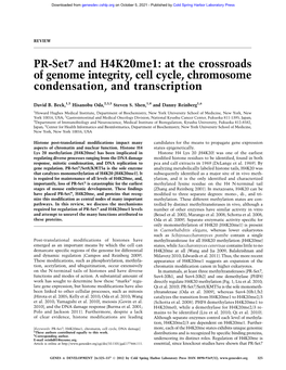 PR-Set7 and H4k20me1: at the Crossroads of Genome Integrity, Cell Cycle, Chromosome Condensation, and Transcription