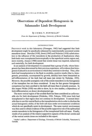 Observations of Dependent Histogenesis in Salamander Limb Development