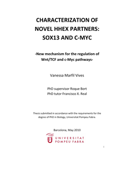 Characterization of Novel Hhex Partners: Sox13 and C‐Myc