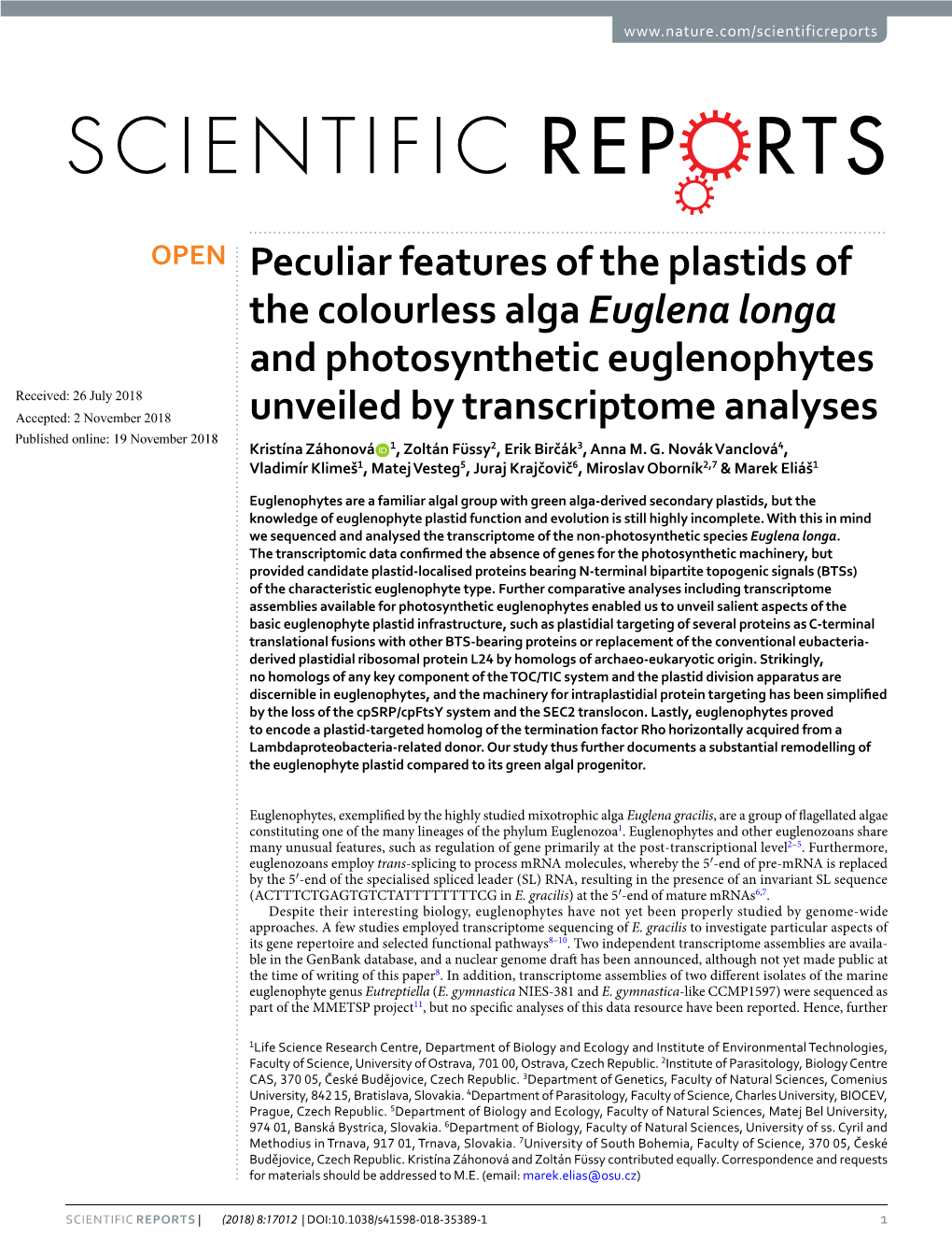 Peculiar Features of the Plastids of the Colourless Alga Euglena Longa And