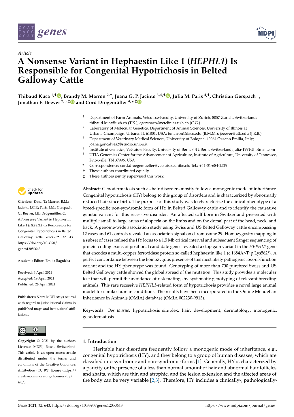 Is Responsible for Congenital Hypotrichosis in Belted Galloway Cattle
