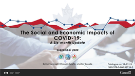 The Social and Economic Impacts of COVID-19: a Six-Month Update