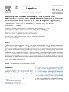 Morphology and Molecular Phylogeny of a New Hypotrich Ciliate, Anteholosticha Songi Nov. Spec., and an American Population of Ho
