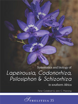 Systematics of Lapeirousia