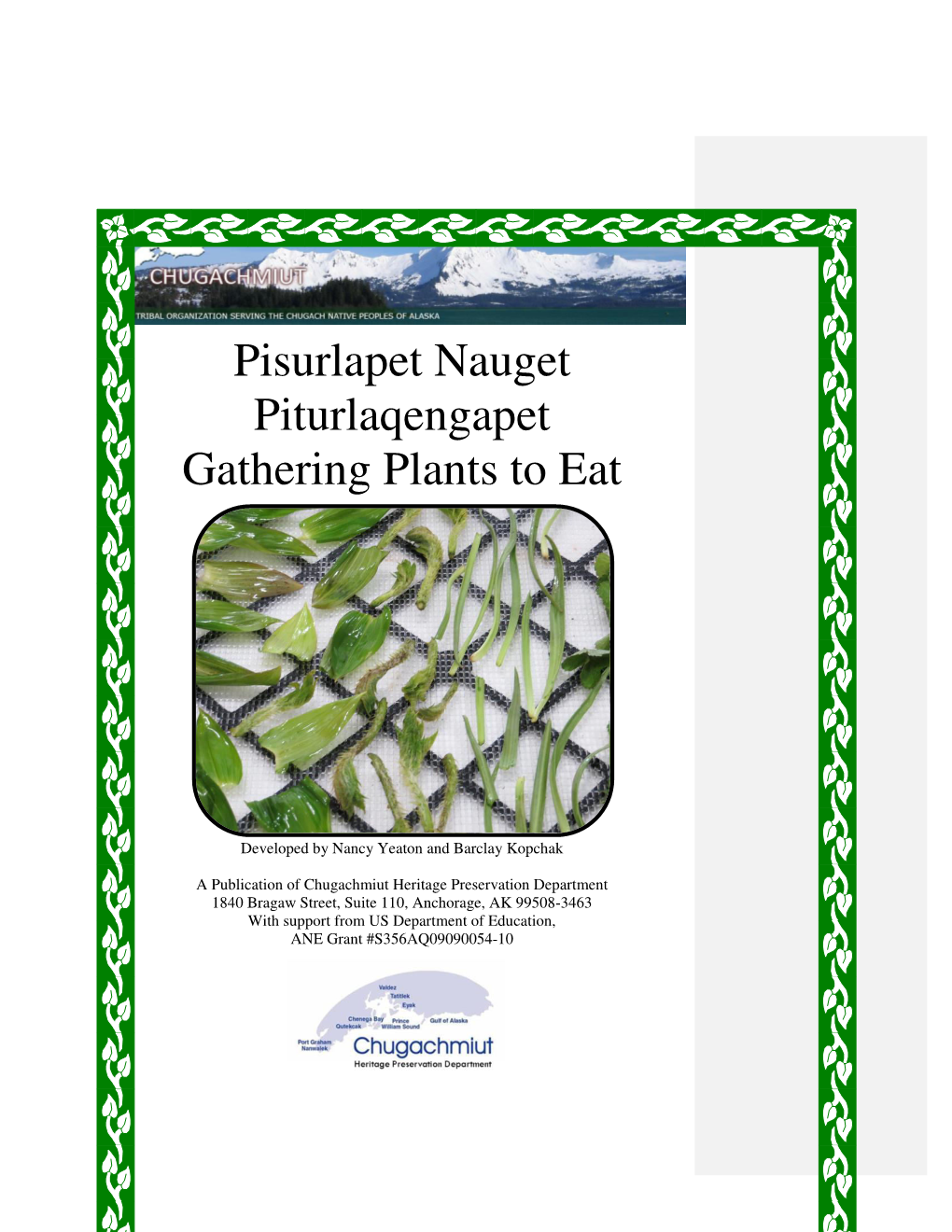 Pisurlapet Nauget Piturlaqengapet Gathering Plants To