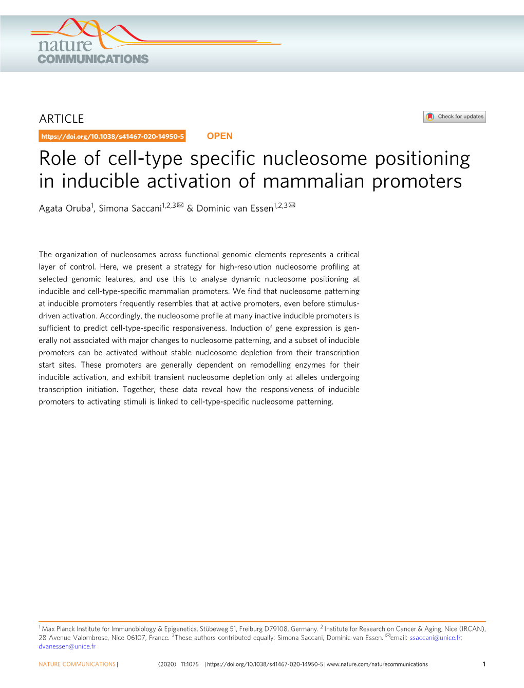 Role of Cell-Type Specific Nucleosome Positioning in Inducible Activation Of