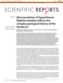 Macroevolution of Hyperdiverse Flightless Beetles Reflects The