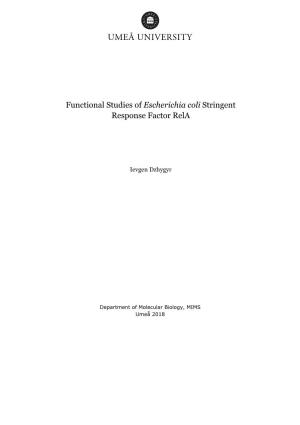 Functional Studies of Escherichia Coli Stringent Response Factor Rela