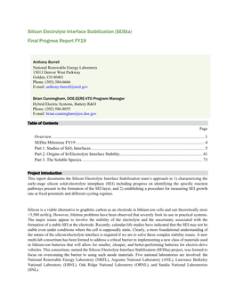 Silicon Electrolyte Interface Stabilization (Seista) Final Progress Report FY19