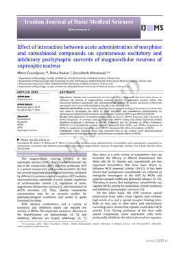 Effect of Interaction Between Acute Administration of Morphine