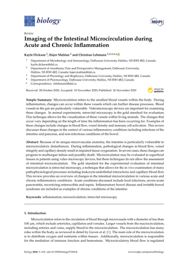 Imaging of the Intestinal Microcirculation During Acute and Chronic Inﬂammation