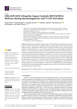 CRL4-DCAF12 Ubiquitin Ligase Controls MOV10 RNA Helicase During Spermatogenesis and T Cell Activation