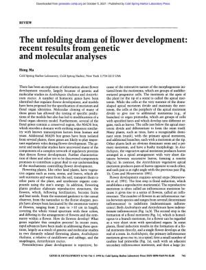 The Unfolding Drama of Flower Development: Recent Results from Genetic and Molecular Analyses
