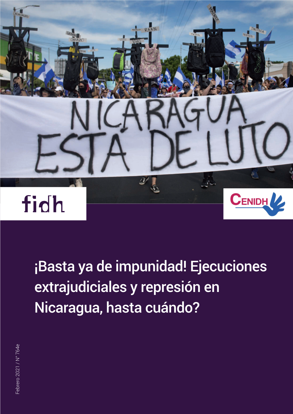 ¡Basta Ya De Impunidad! Ejecuciones Extrajudiciales Y Represión En Nicaragua, Hasta Cuándo? 3 Introducción