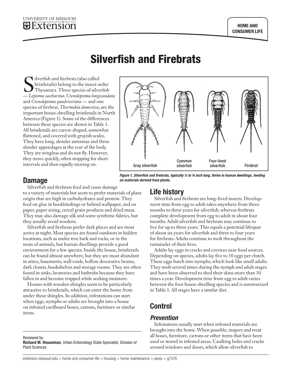 Silverfish and Firebrats