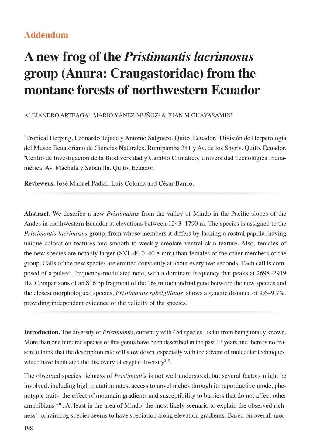 A New Frog of the Pristimantis Lacrimosus Group (Anura: Craugastoridae) from the Montane Forests of Northwestern Ecuador