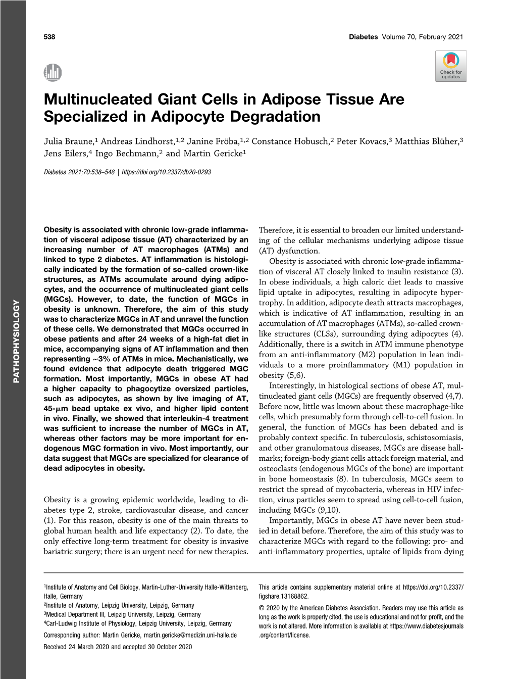 Multinucleated Giant Cells in Adipose Tissue Are Specialized in Adipocyte Degradation