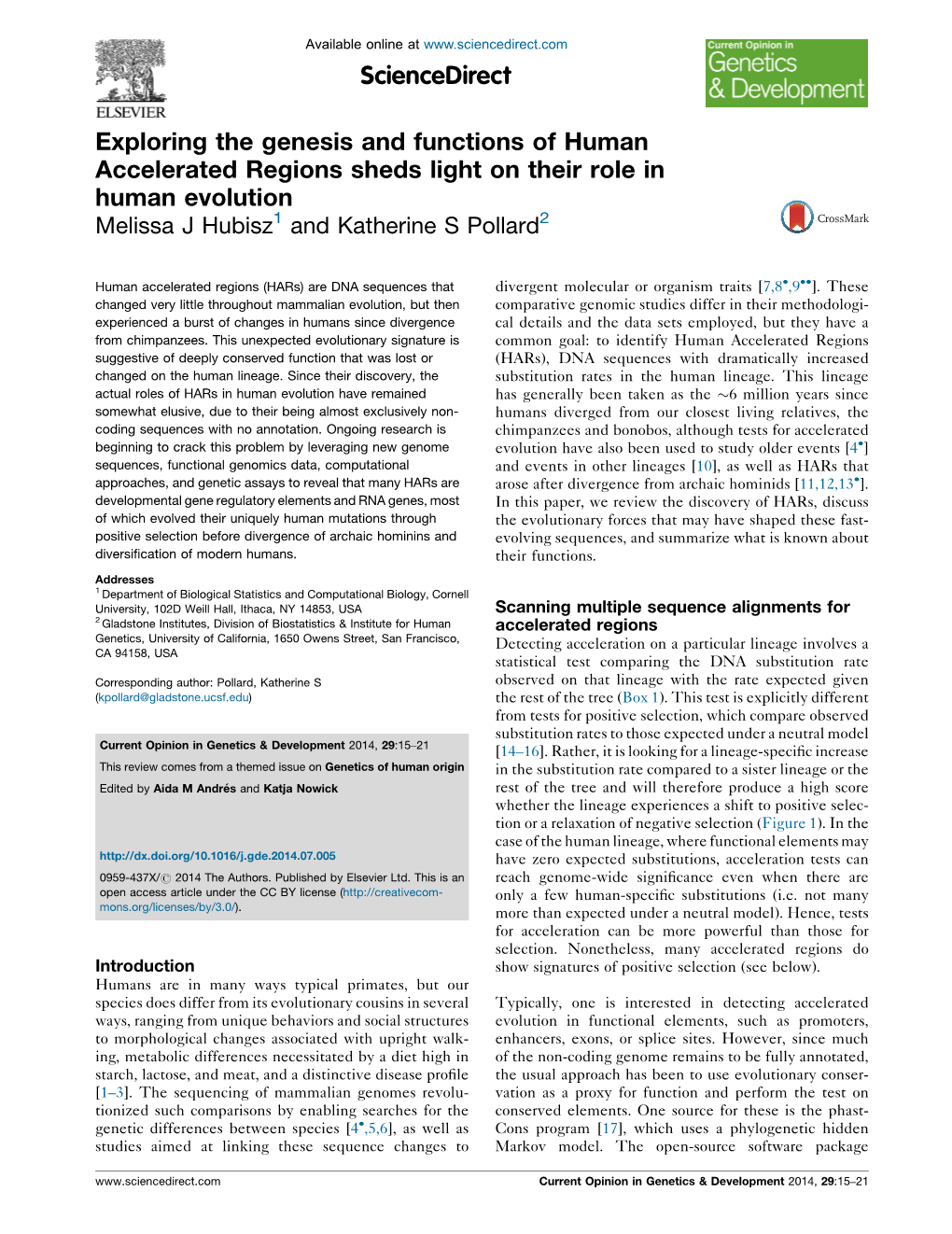 Exploring the Genesis and Functions of Human Accelerated Regions