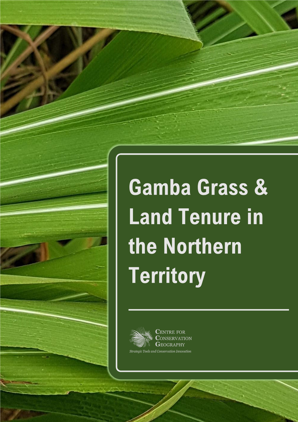 Gamba Grass & Land Tenure in the Northern Territory