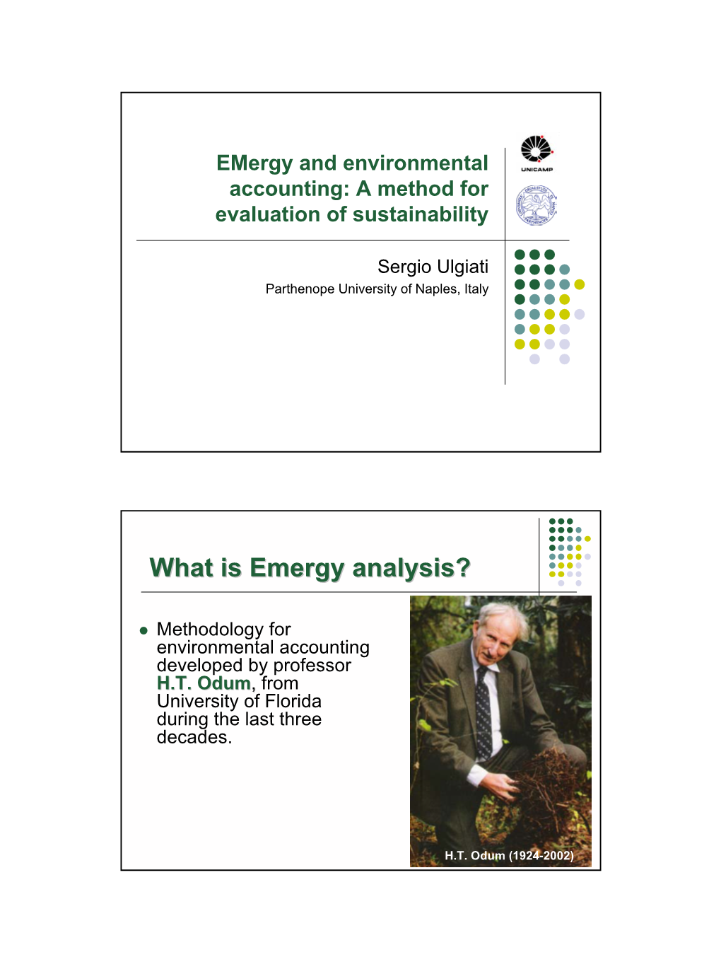 What Is Emergy Analysis? Z Methodology for Environmental Accounting Developed by Professor H.T