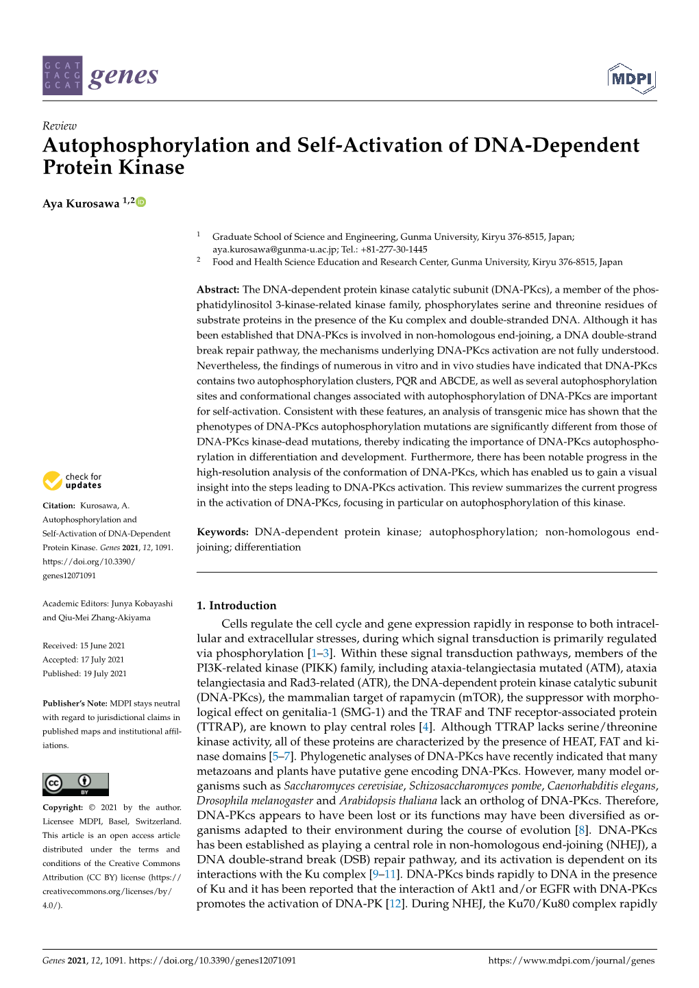 Autophosphorylation and Self-Activation of DNA-Dependent Protein Kinase