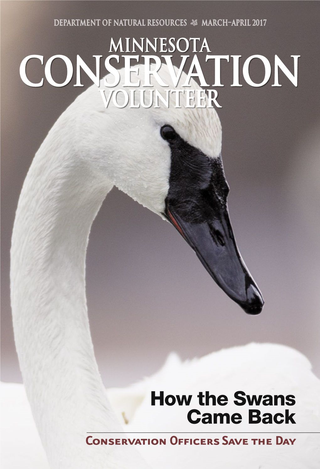 Minnesota Conservation Volunteer March-April 2017