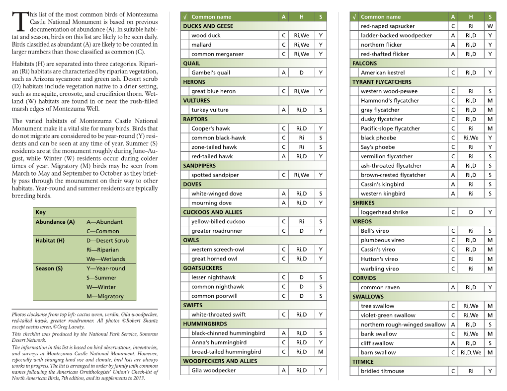 This List of the Most Common Birds of Montezuma