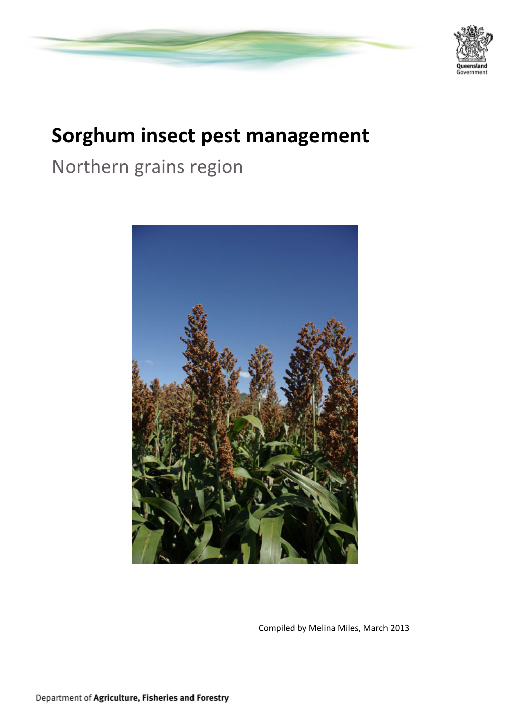 Sorghum Insect Pest Management Northern Grains Region
