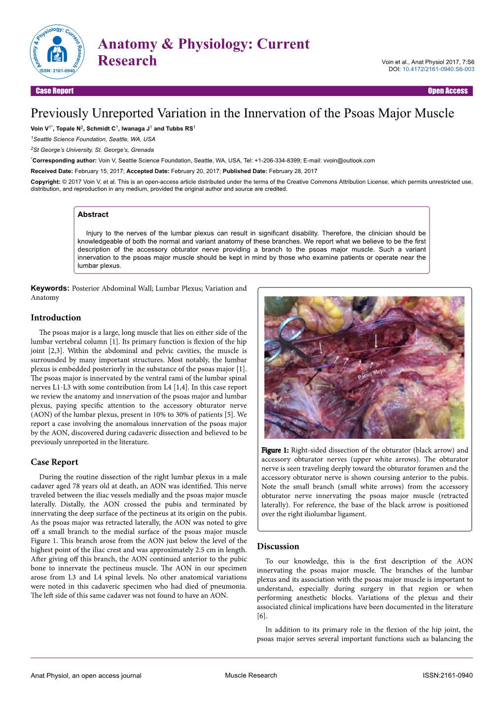 Previously Unreported Variation in the Innervation of the Psoas Major