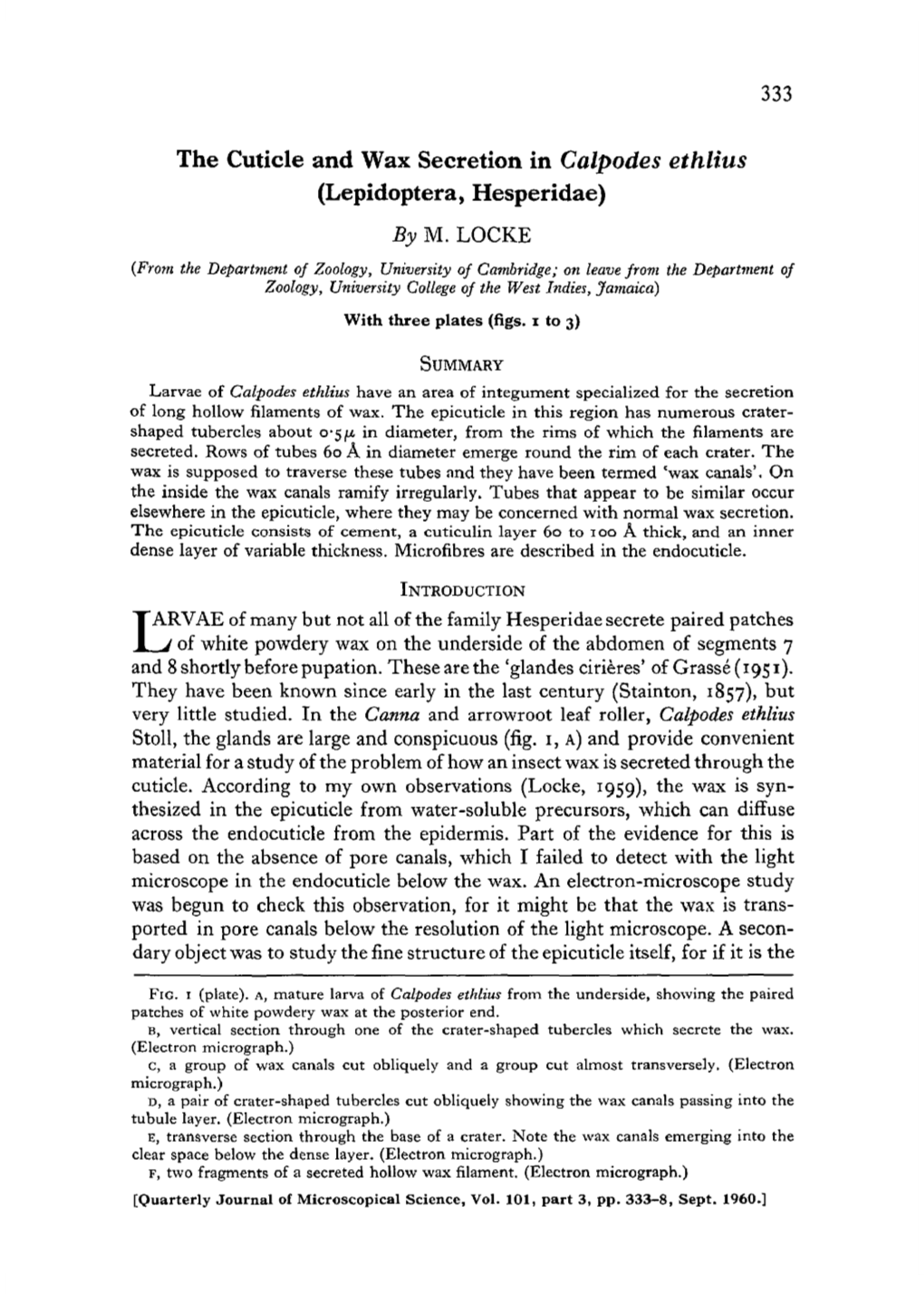 The Cuticle and Wax Secretion in Calpodes Ethlius (Lepidoptera, Hesperidae) by M