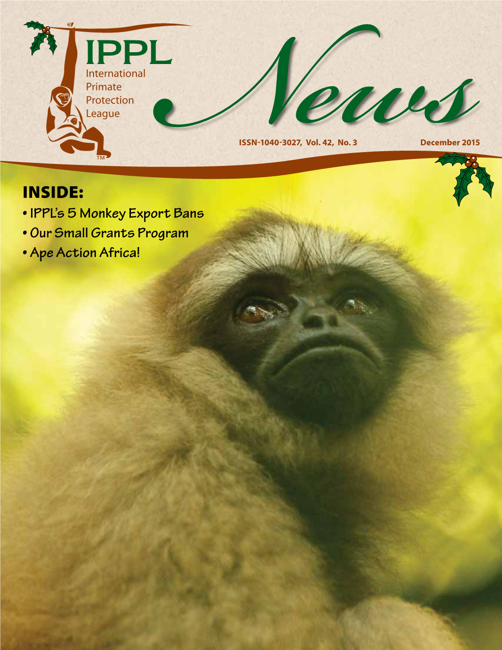 Ape! Action! Africa! Or: How an Accountant Who Hates Bananas Became the CEO of One of Africa’S Largest Primate Sanctuaries Sharon Strong Photo © Ian Bickerstaff