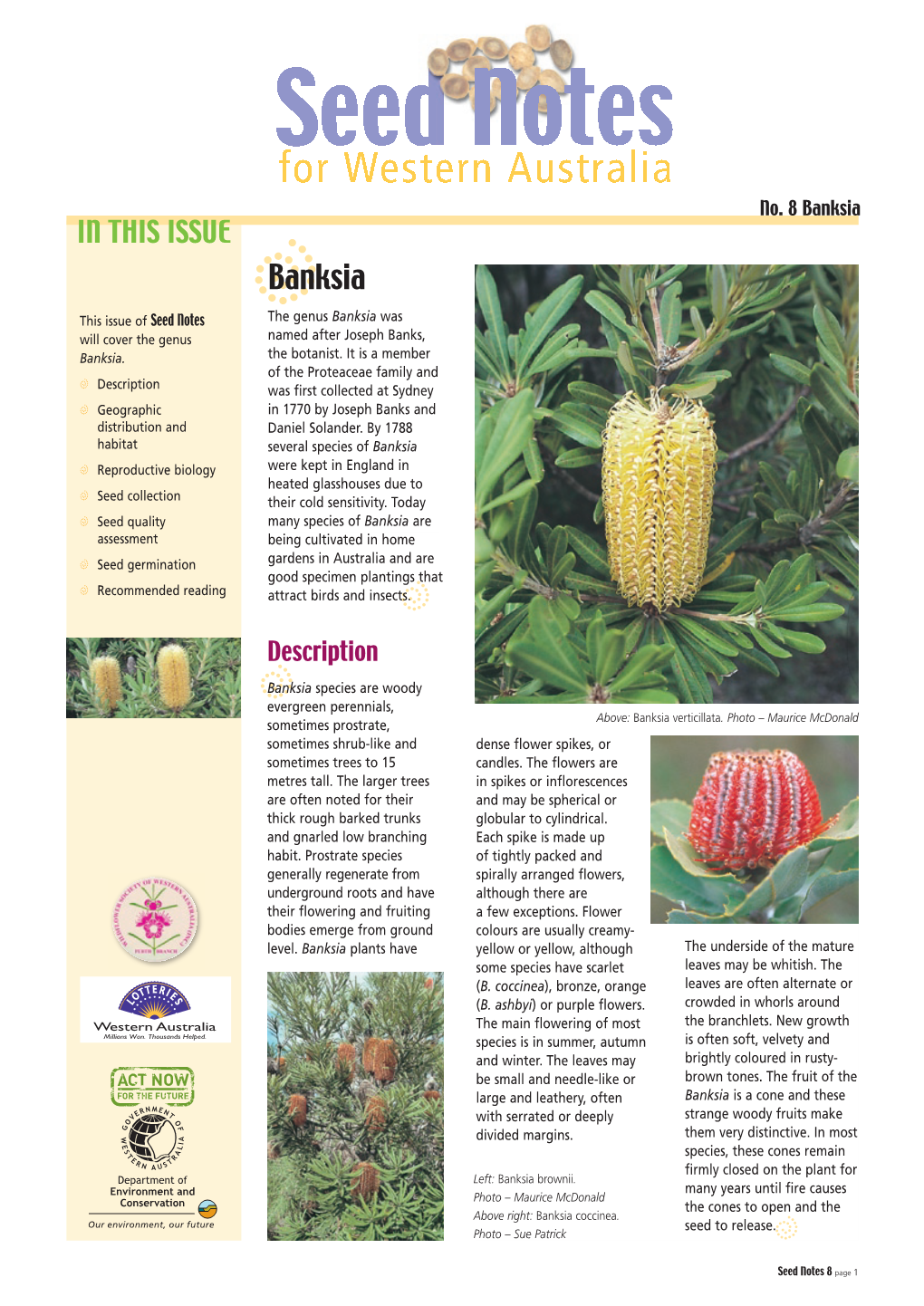 Banksia in THIS ISSUE Dbanksia This Issue of Seed Notes the Genus Banksia Was Will Cover the Genus Named After Joseph Banks, Banksia