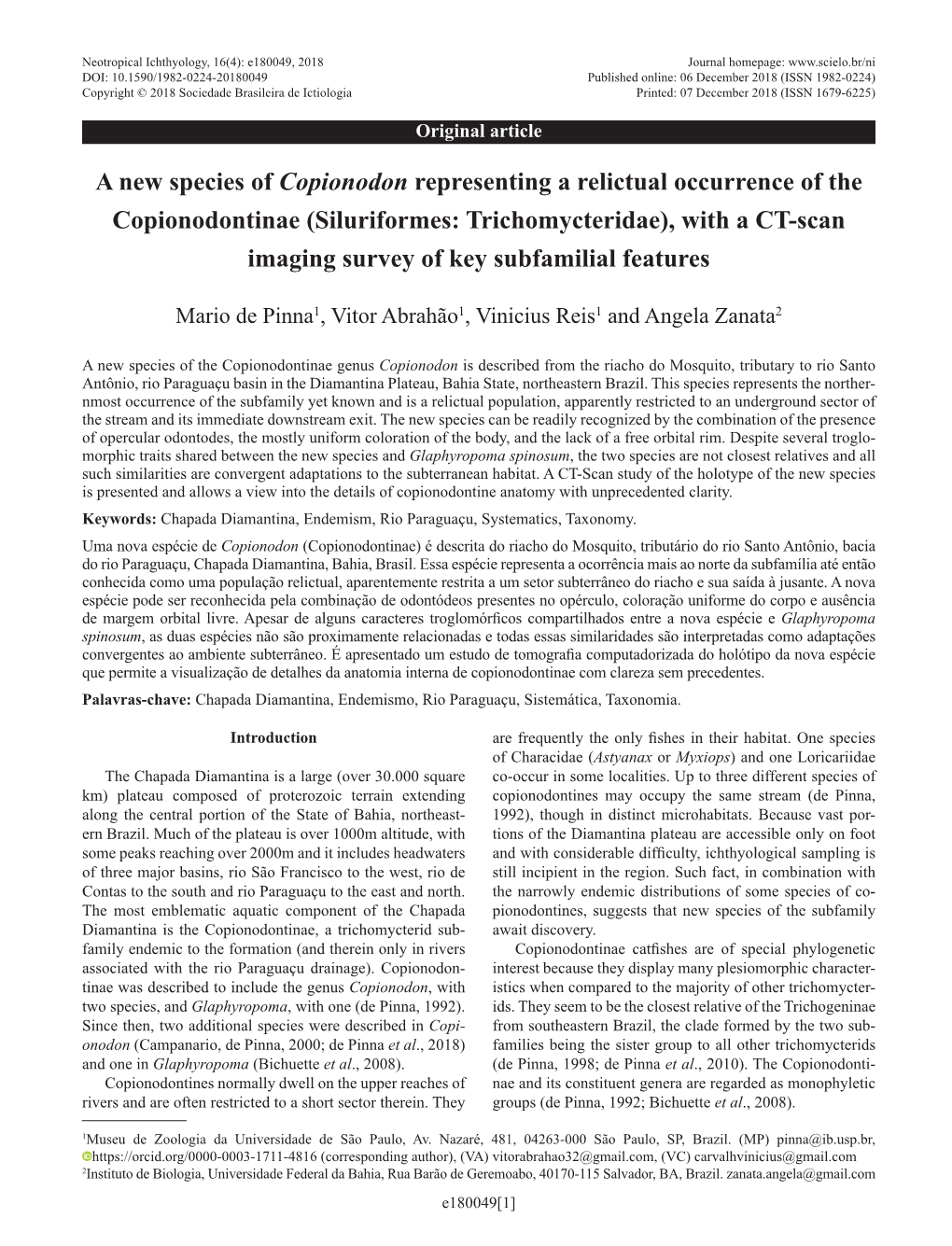 A New Species of Copionodon Representing a Relictual Occurrence