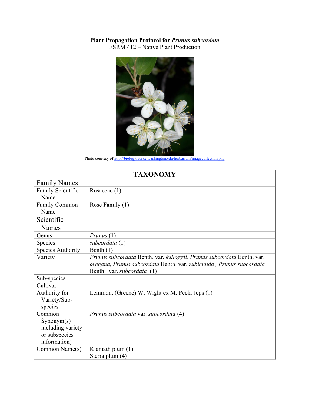 TAXONOMY Family Names Scientific Names