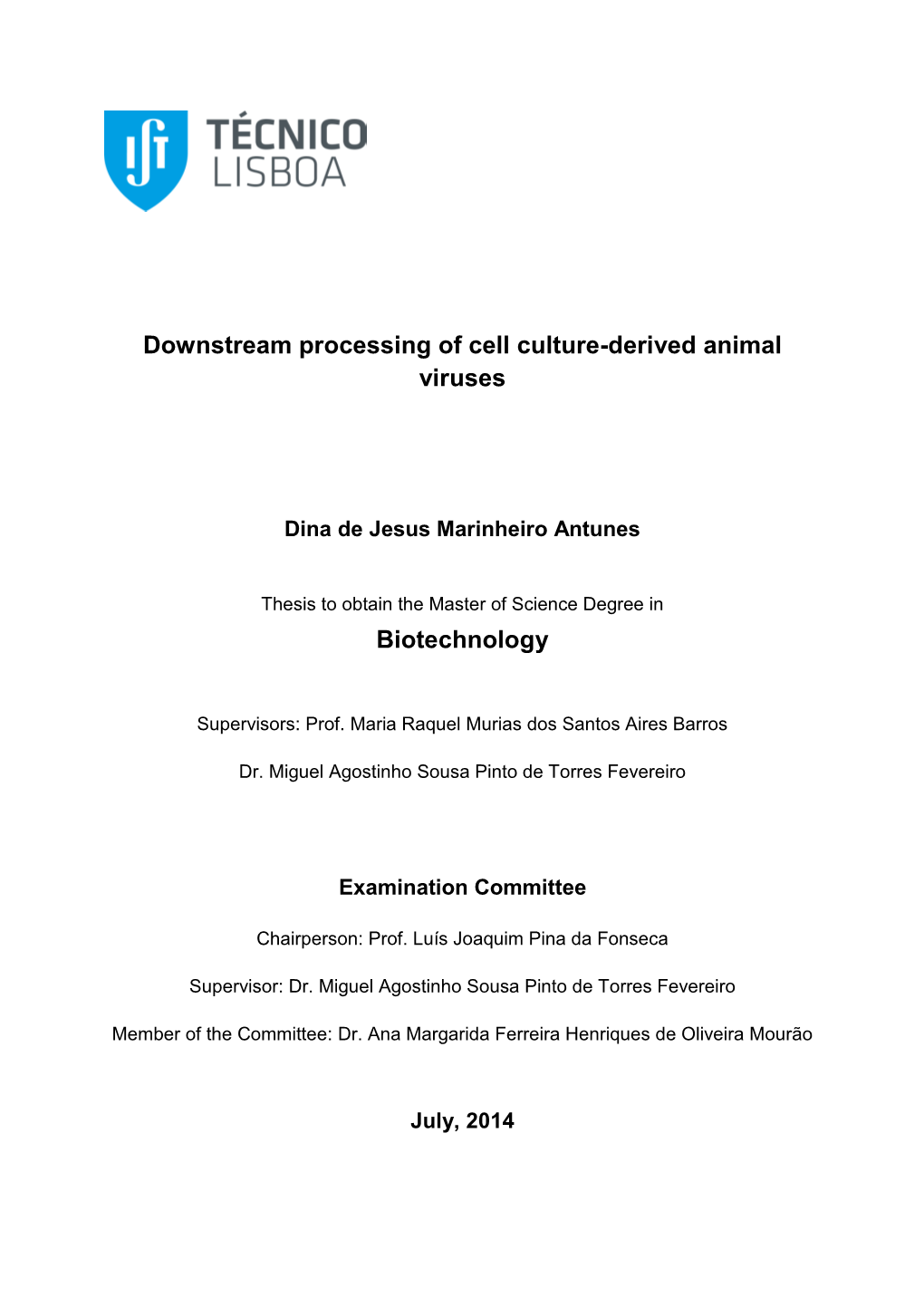 Downstream Processing of Cell Culture-Derived Animal Viruses